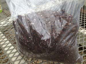 blend of peat moss, vermiculite, and perlite