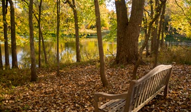 Barbra Brown Nature Reserve