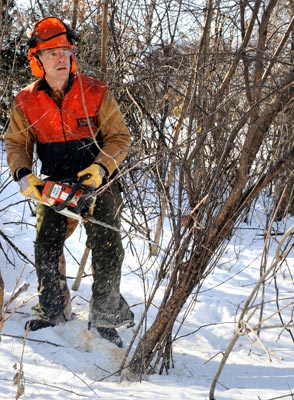 Buckthorn Removal