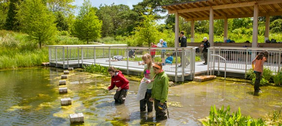 PHOTO: looking for aquatic life at the Family Cove