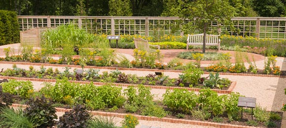 Grunsfeld Children S Growing Garden Chicago Botanic Garden