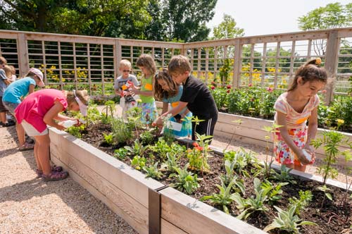 Grunsfeld Children's Growing Garden