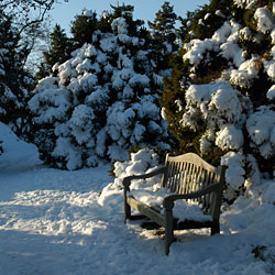 Chicago botanic garden events Chicago botanic garden events