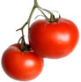 PHOTO: tomatoes