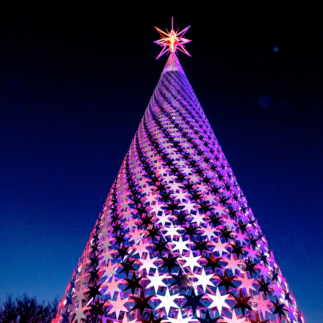 Lightscape