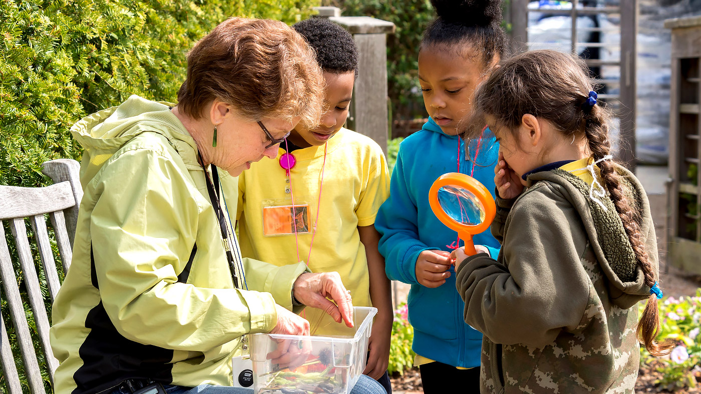Field Trips On Site