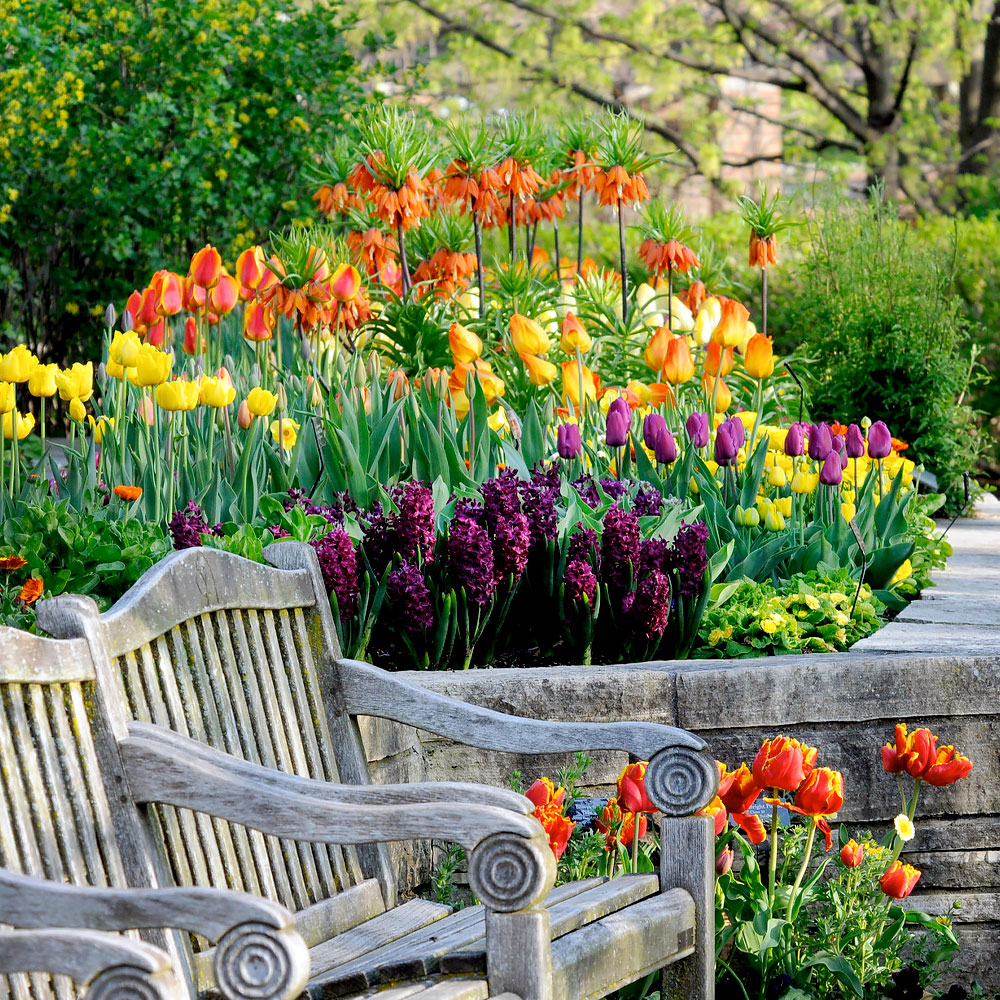 Sensory Garden