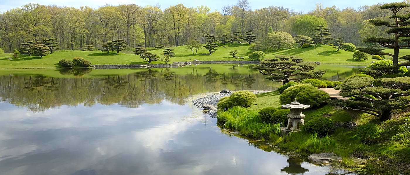 Shoreline - Japanese