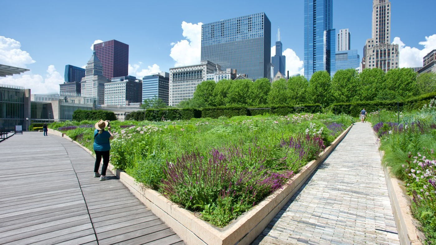 ChicagoBotanicGardenImage