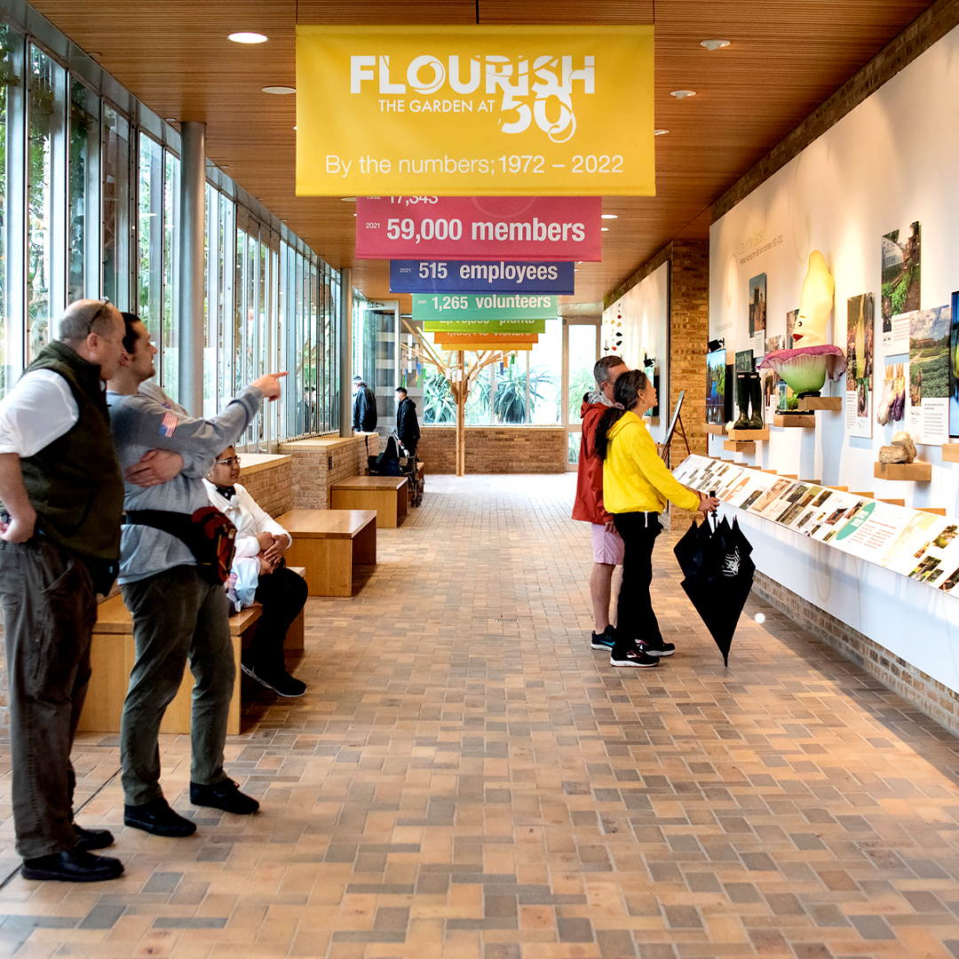 Flourish The Exhibition