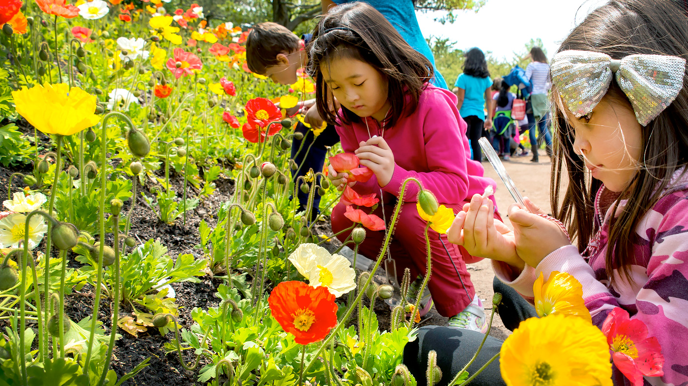 On-Site Field Trips