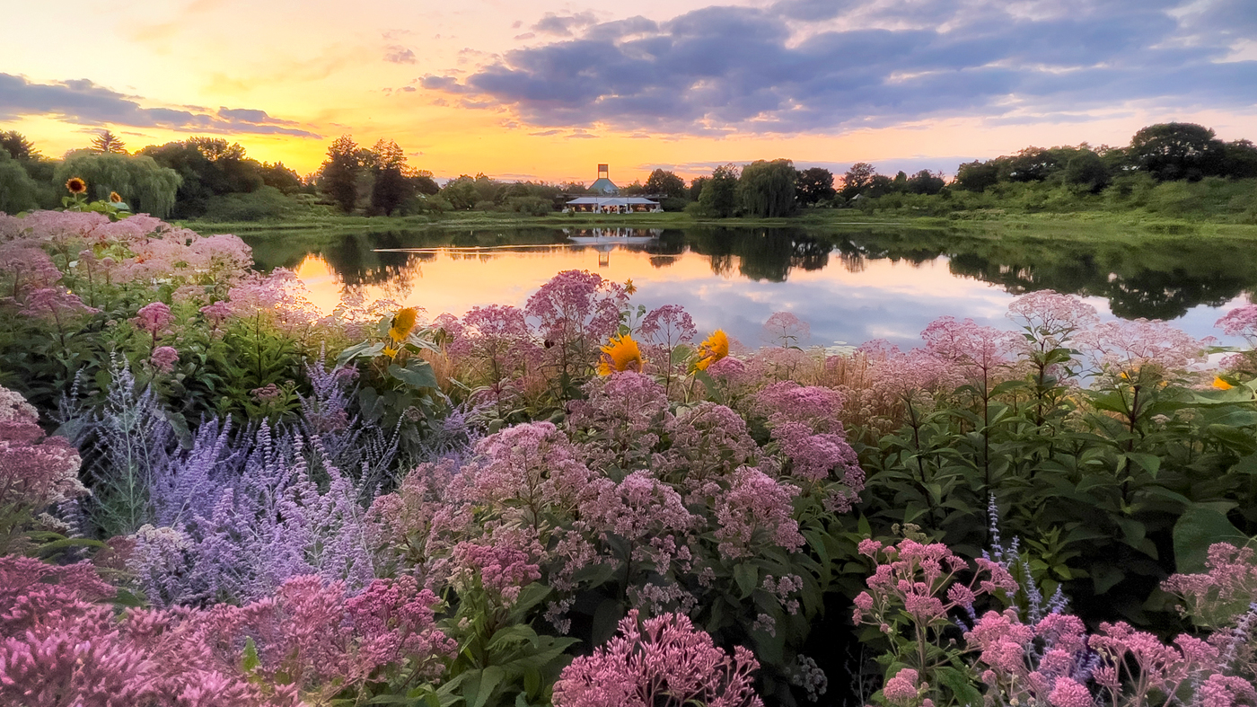 ChicagoBotanicGardenImage