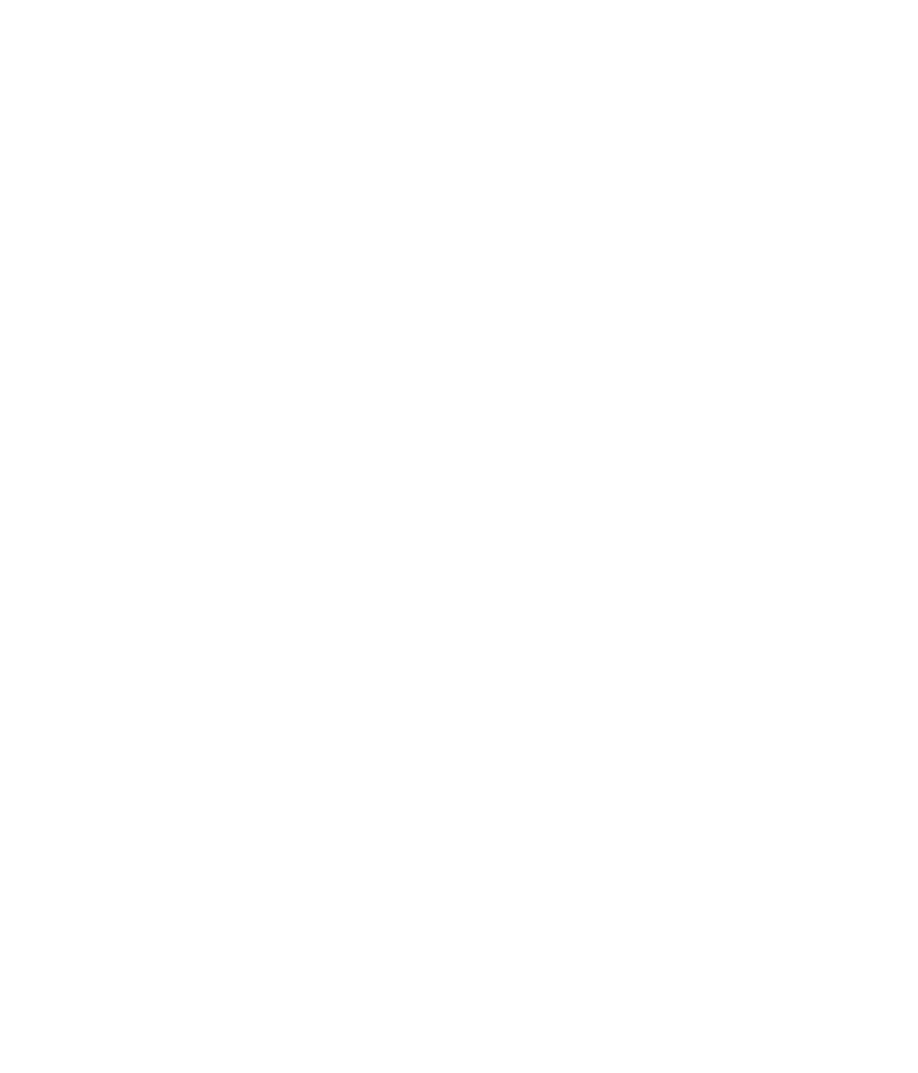 The Orchid Show Magnified