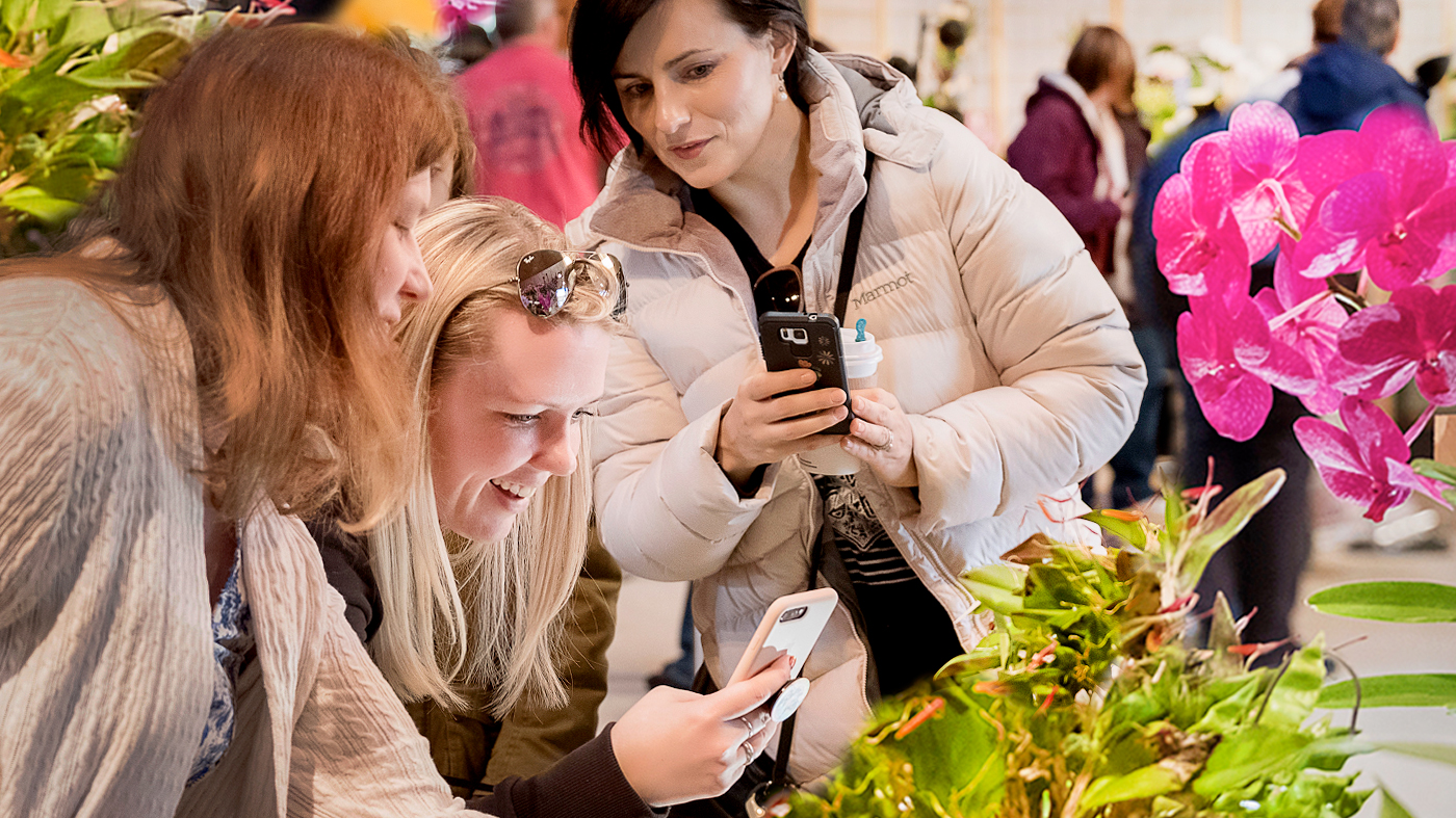 Illinois Orchid Society Show & Sale
