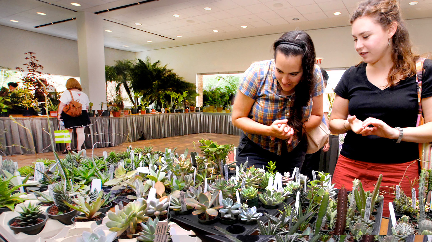 Cactus & Succulent Show