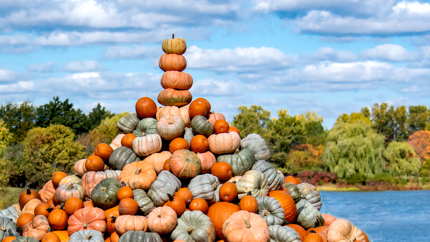 Fall Bulb Festival