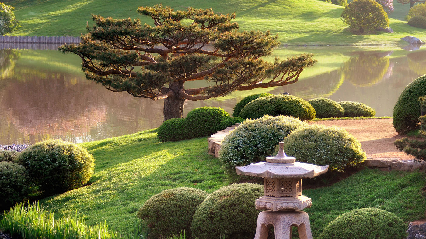 japanese garden