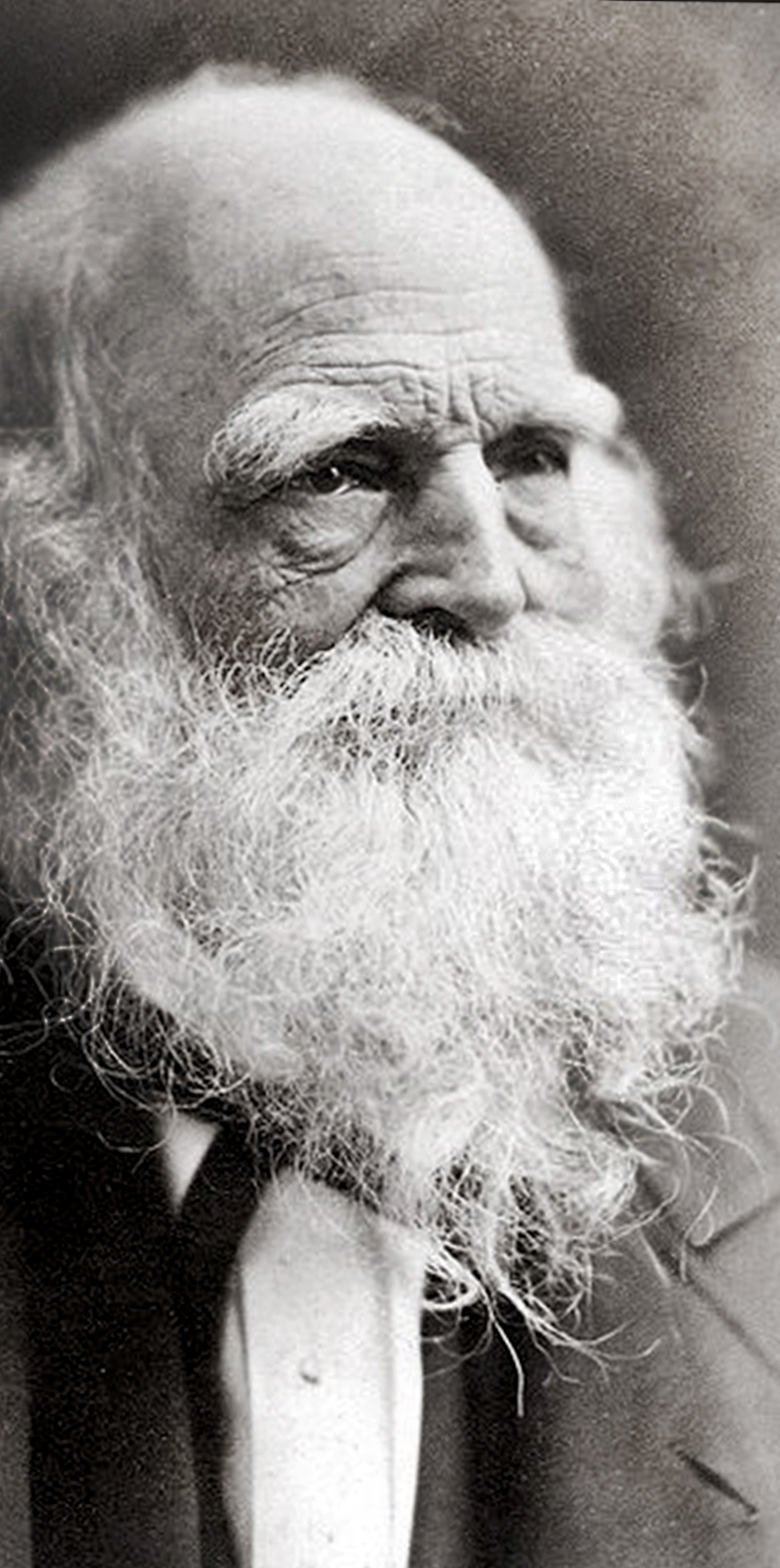 William Cullen Bryant