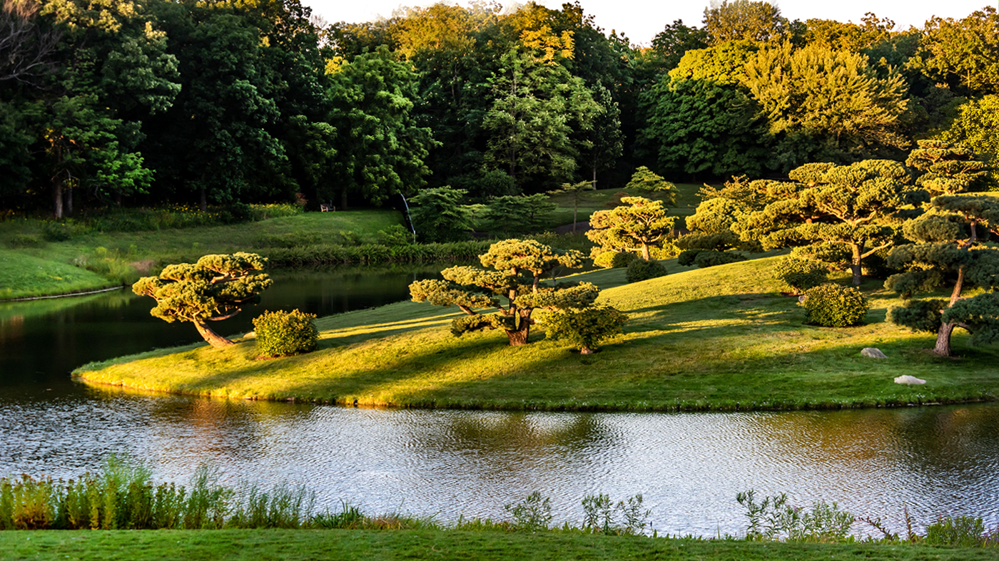 Picnic Glade View