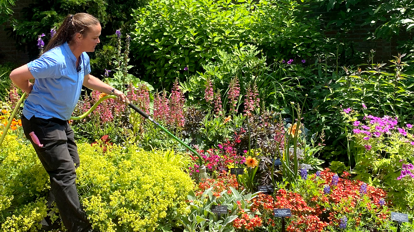 Watering in Drought