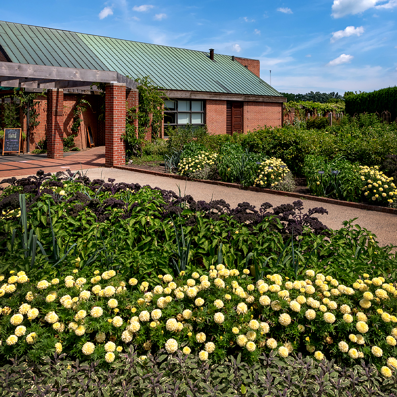 Herb Garden Weekend