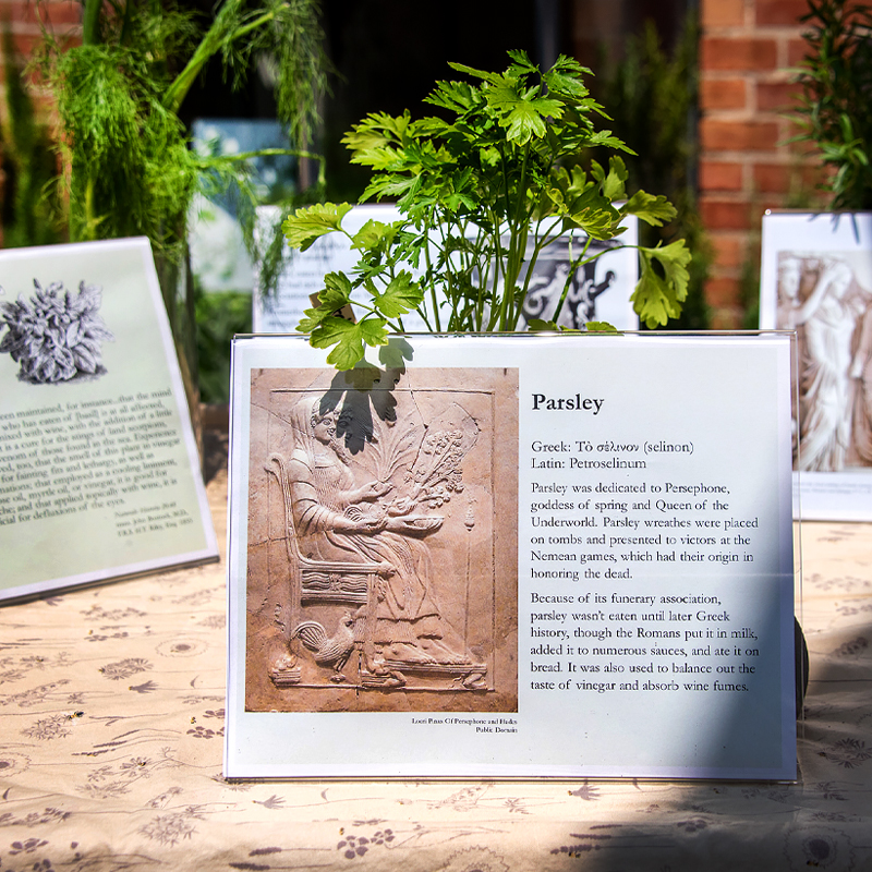 Herb Garden Weekend