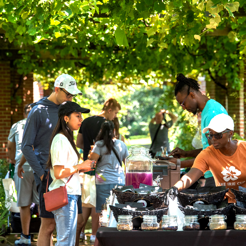 Herb Garden Weekend