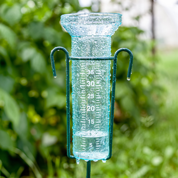 Rain gauge