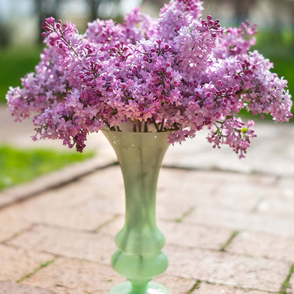 Twisting lilac ends