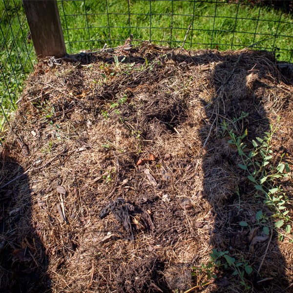 composting