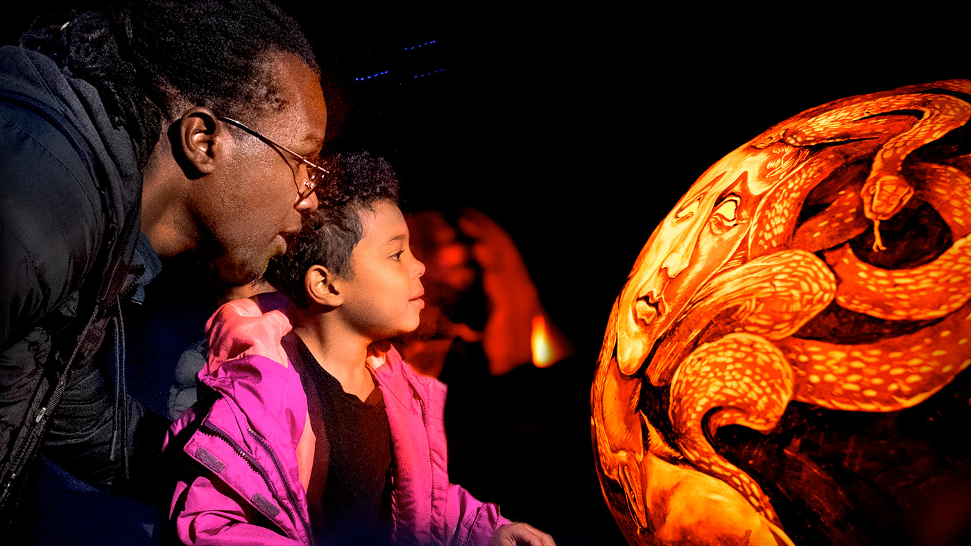 Night of 1,000 Jack-o'-Lanterns