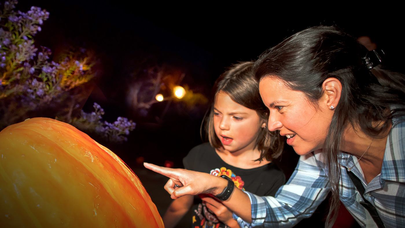 Night of 1,000 Jack-o'-Lanterns