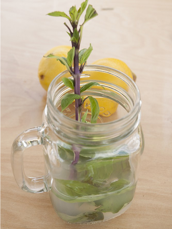 Infused Water with Herbs, Citrus, + Fruit - Champagne Tastes