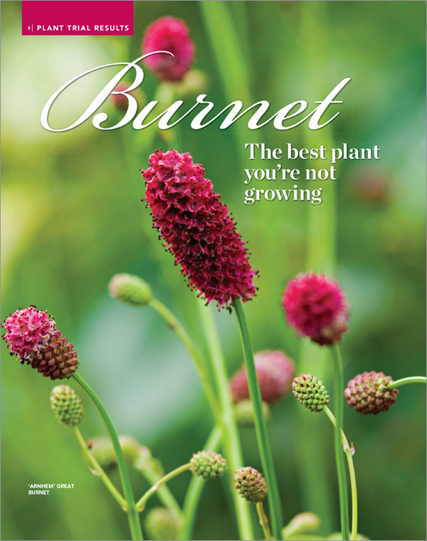Burnet>
                <p class=