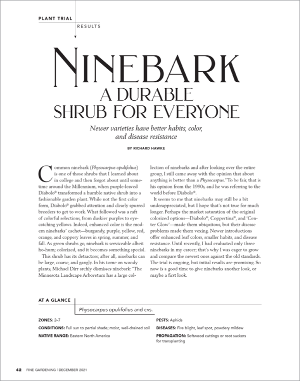 Ninebark