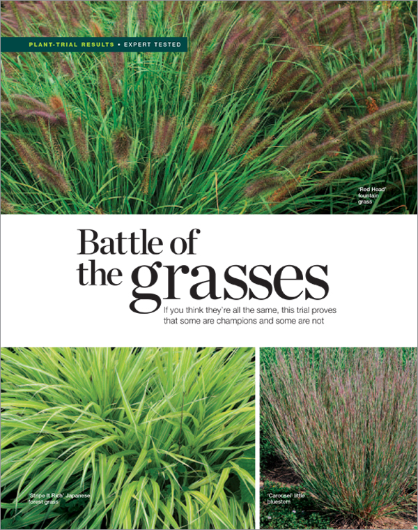 Grasses