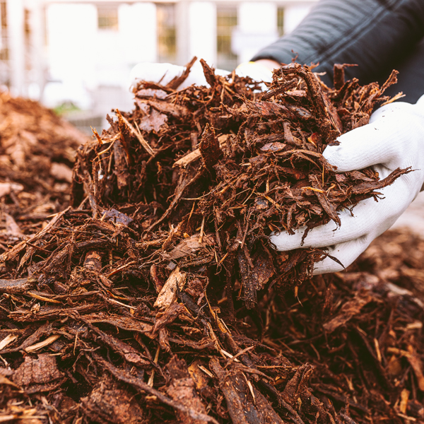 mulch shredded bark