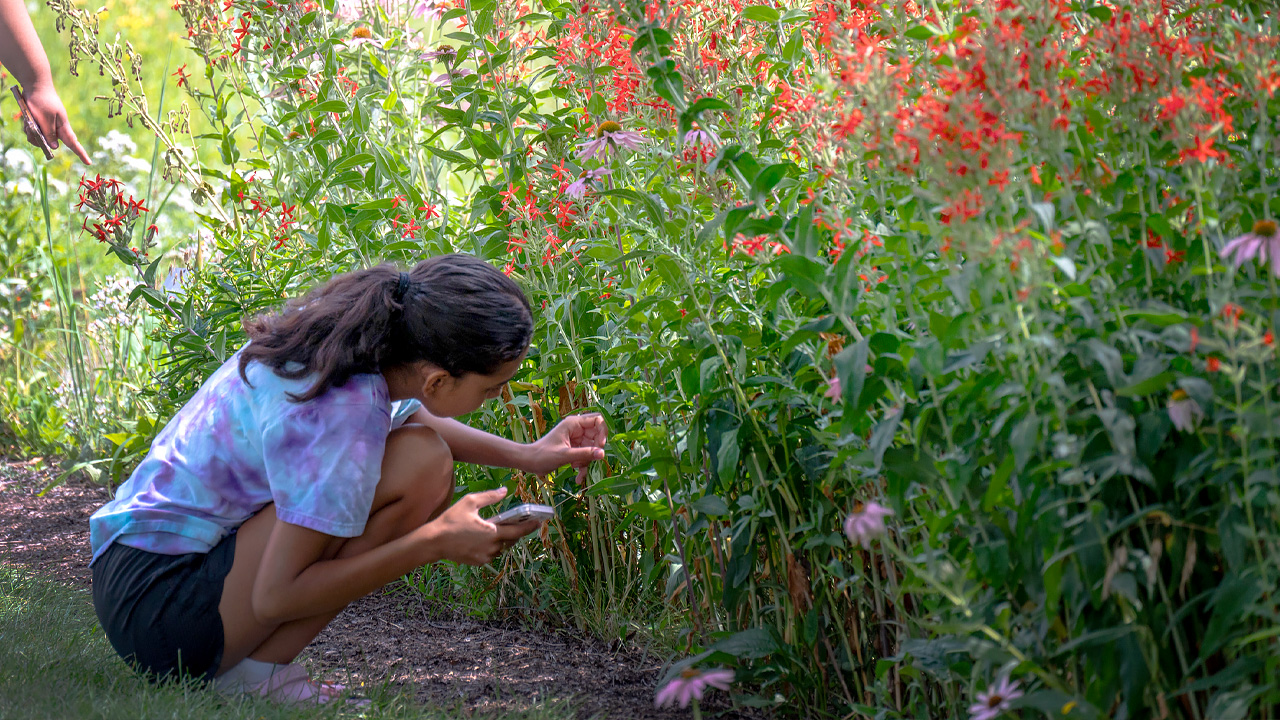 A Sip of Salep  Chicago Botanic Garden