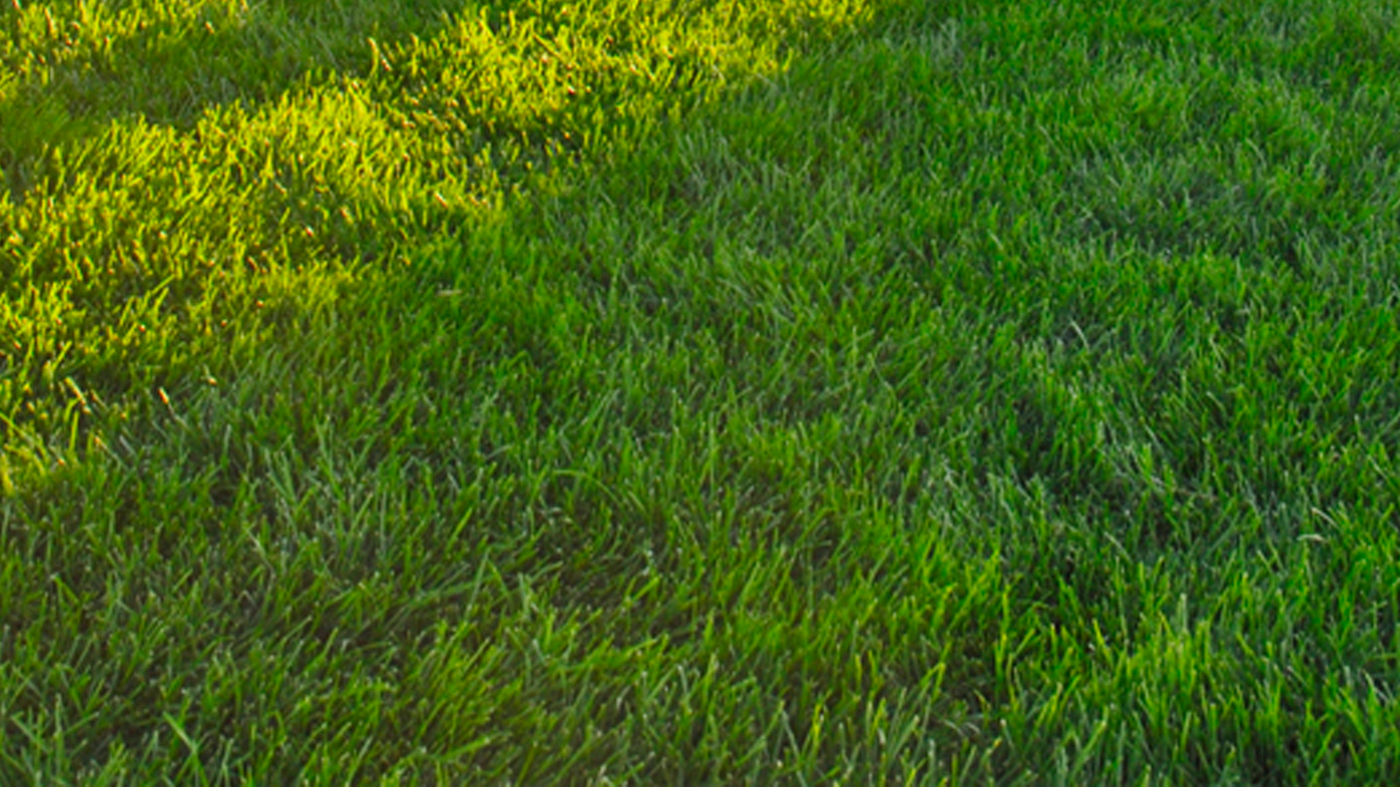 Lawn mowing