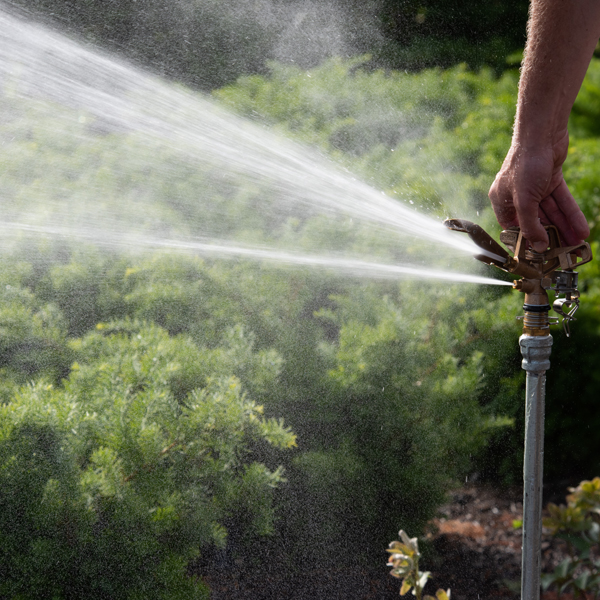 Lawn watering