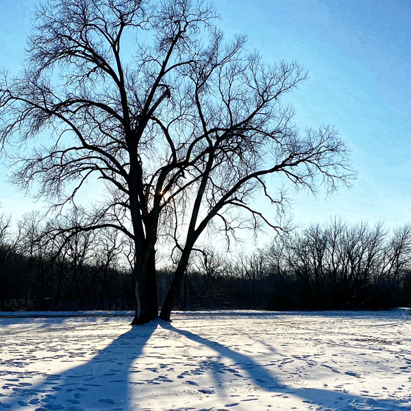 foot prints in the snow