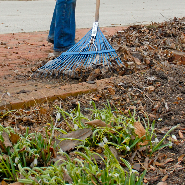 Garden cleanup