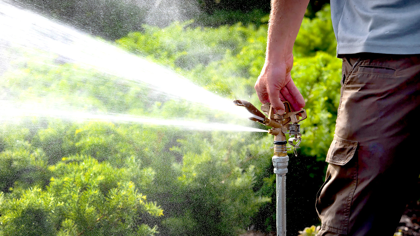 Professional Gardener Level 1 Certificate