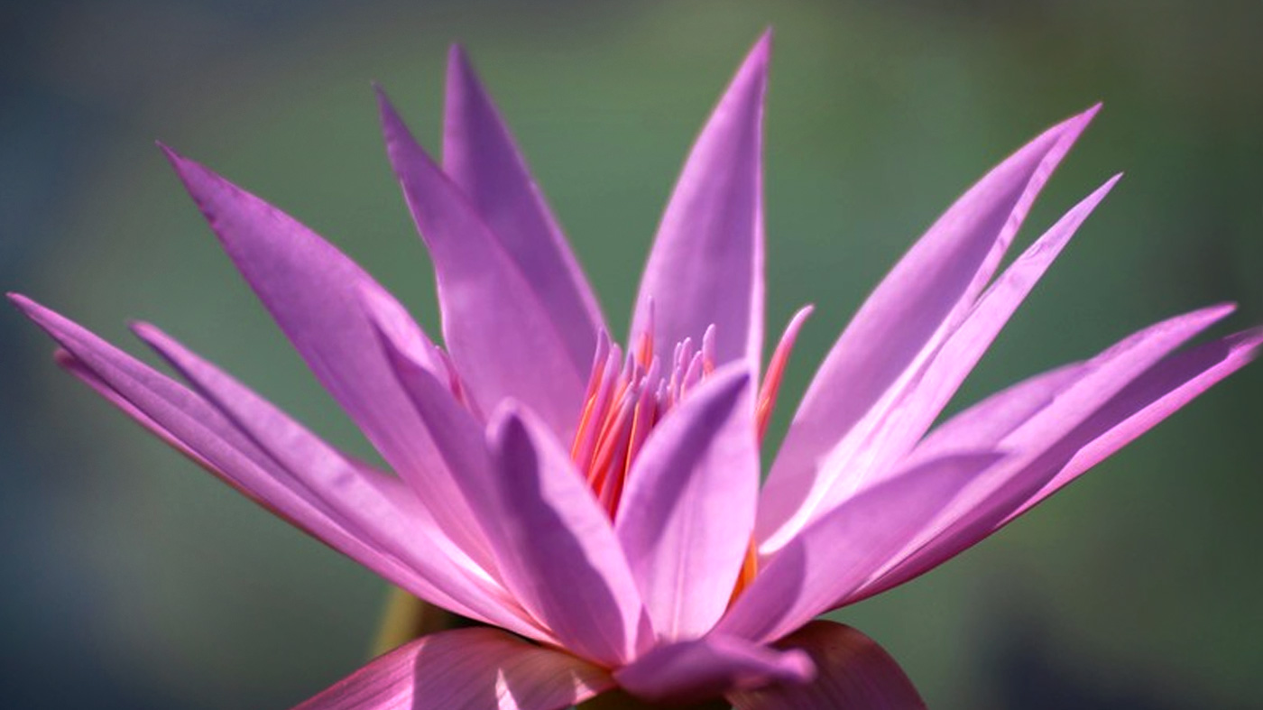 Focus on Photography Certificate Program – Nature and Landscape