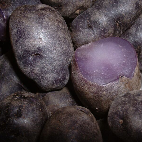 potato: Purple Peruvian