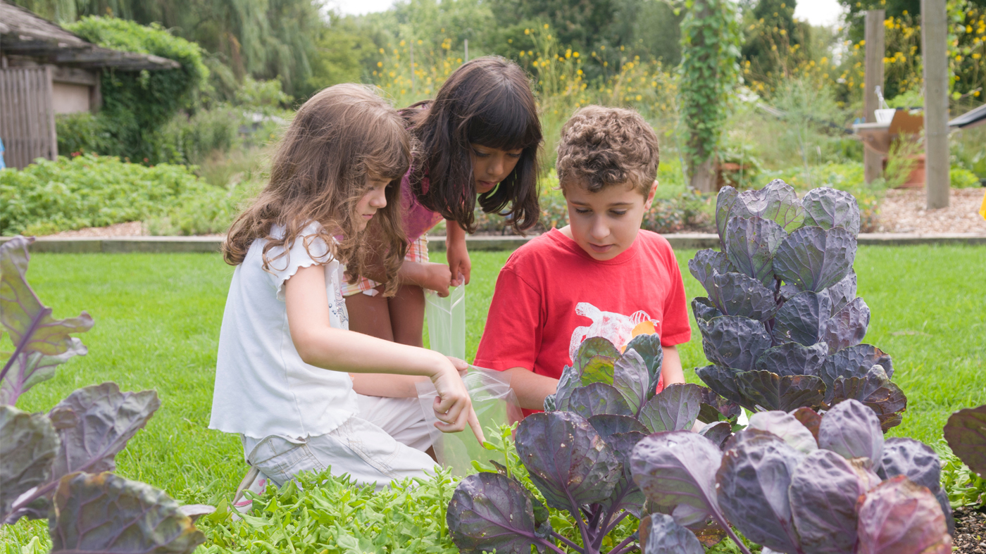 Kids at the garden