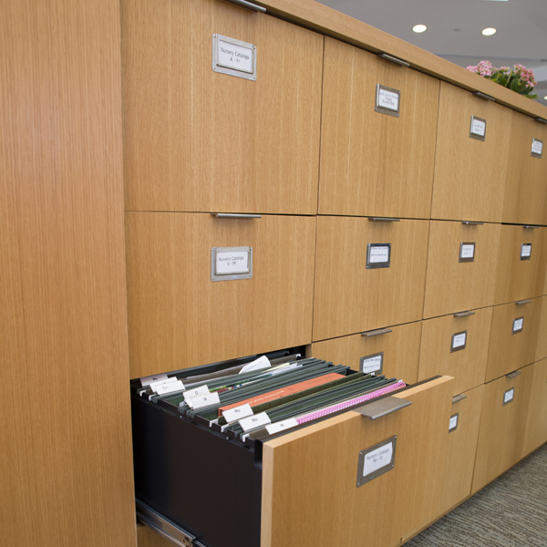 Seed library filing cabinet