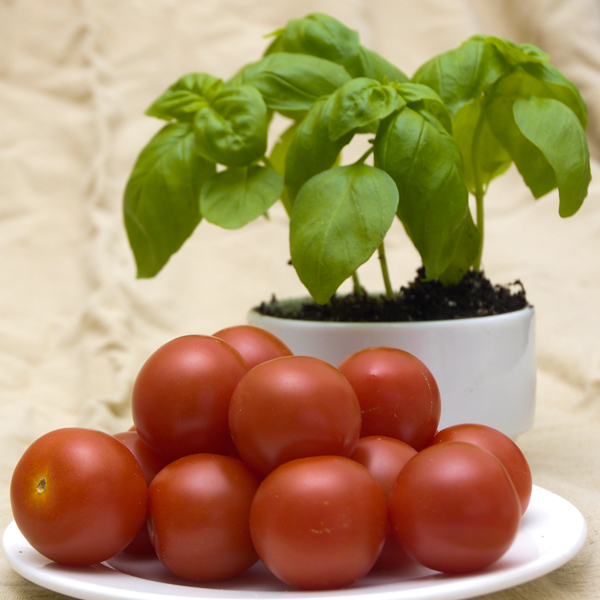 tomato and basil