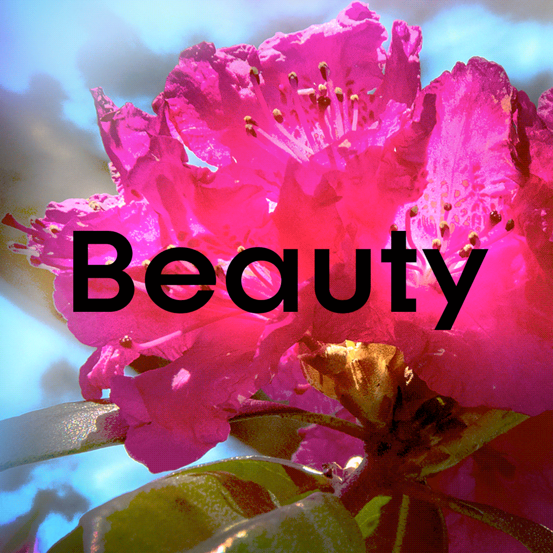 Chicago Botanic Garden – Beauty