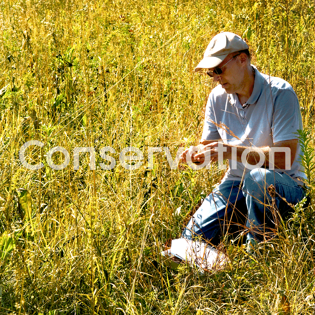 Chicago Botanic Garden – Conservation